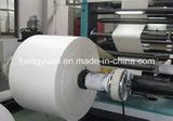 Fluff Pulp for Diapers and Sanitary Napkin