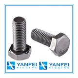 Stainless Steel 304/316 Hex Bolt with Type DIN933