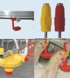 Automatic Chicken Drinking Equipment for Poultry Farm House