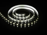 SMD 5050 High Power Flexible Strip-30 LEDs/M LED Light