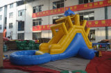Dolphin Min Inflatable Water Slide with Pool (CHSL437)