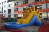 Dolphin Min Inflatable Water Slide with Pool (CHSL437)