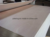 Marine Plywood/Rigger Plywood/Commercial Plywood (1220*2440mm)