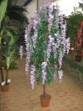 Artificial Plants and Flowers of Westeria Tree 210cm Gu-Bj-130-1232-66