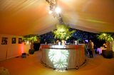 LED Star Cloth for Wedding Party