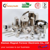 Customized Different Shaped of Sintered NdFeB Permanent Magnetic Materials