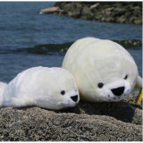 38cm White Stuffed Seal Plush Sea Animal Toys