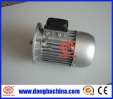 EFF2 Electric Motor