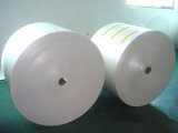 PE Coated Cup Paper in Rolls