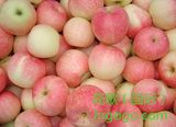 Export Good Quality Fresh Chinese Gala Apple