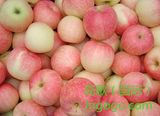 Export Good Quality Fresh Chinese Gala Apple