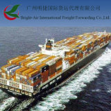 Efficient Sea Freight From China to Callao, Peru