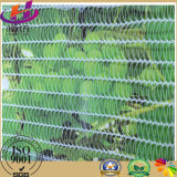 Agricultural Anti Hail Nets for Protecting Fruits