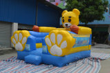 High Quality Inflatable Bouncer Building