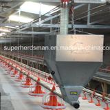 Automatic Poultry Equipment for Broiler