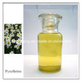 Insecticide Pyrethrum Extract 50% 25% Pyrethrins