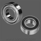 Stainless Steel Double Row Bearings (SS5206)