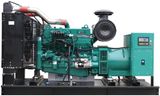 Emergency Power Generator Set with Cummins Engine