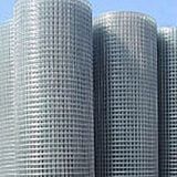Welded Wire Mesh