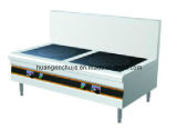 Commercial Induction Cooker with Two Burner