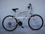 White Popular Bicycle for Hot Sale (SH-MTB156)