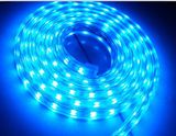 12V LED Strip Light SMD LED Strip Light