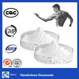 99% Purity Muscle Building Powder Nandrolone Decanoate
