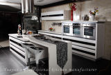 High Glossy Lacquer Kitchen Cabinet (S001)