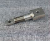 Non-Standard Bolt 304 Stainless Steel Fasteners (ATC-450)