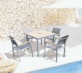 Modern Design Outdoor Leisure Patio Furniture Wooden Garden Furniture (D540; S260)