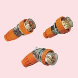 Industrial Plug (500v)