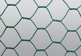 Hexagonal Wire Netting