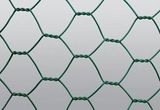 Hexagonal Wire Netting