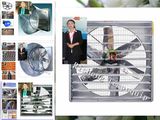 Poultry Evaporative Cooling and Ventilation