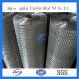 Galvanized Welded Wire Mesh (TS-L12)