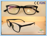 (R611) Directly Factory Selling Tr90 Optical Frame Eyewear