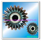 Bevel Gear