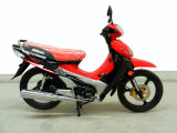Motorcycle 110CC (DL110-3)