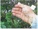 Anti Bird Netting Made From HDPE