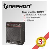 250W Bass Amplifier (B250W)