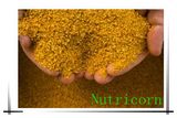 60%Corn Gluten Meal Fodder