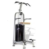 Sports Equipment / DIP & Chin Assist (SR18)
