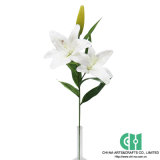 Artificial Flower, Artificial Tree, Artificial Plant (28-CH07705219)
