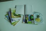 Exercise Notebook