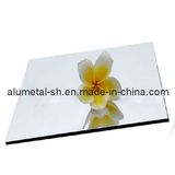 Aluminum Plastic Composite Material