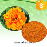 Yellow Golden Marigold Flower Seeds
