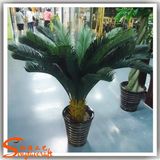 Home Decoration Artificial Cycads Bonsai