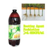 Bio Root Rot Healer Seaweed Microbial Agent