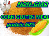 Animal Feed Additive Corn Gluten Meal Protein 60min