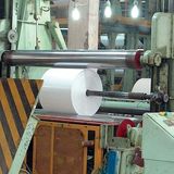 Offset Paper for Printing